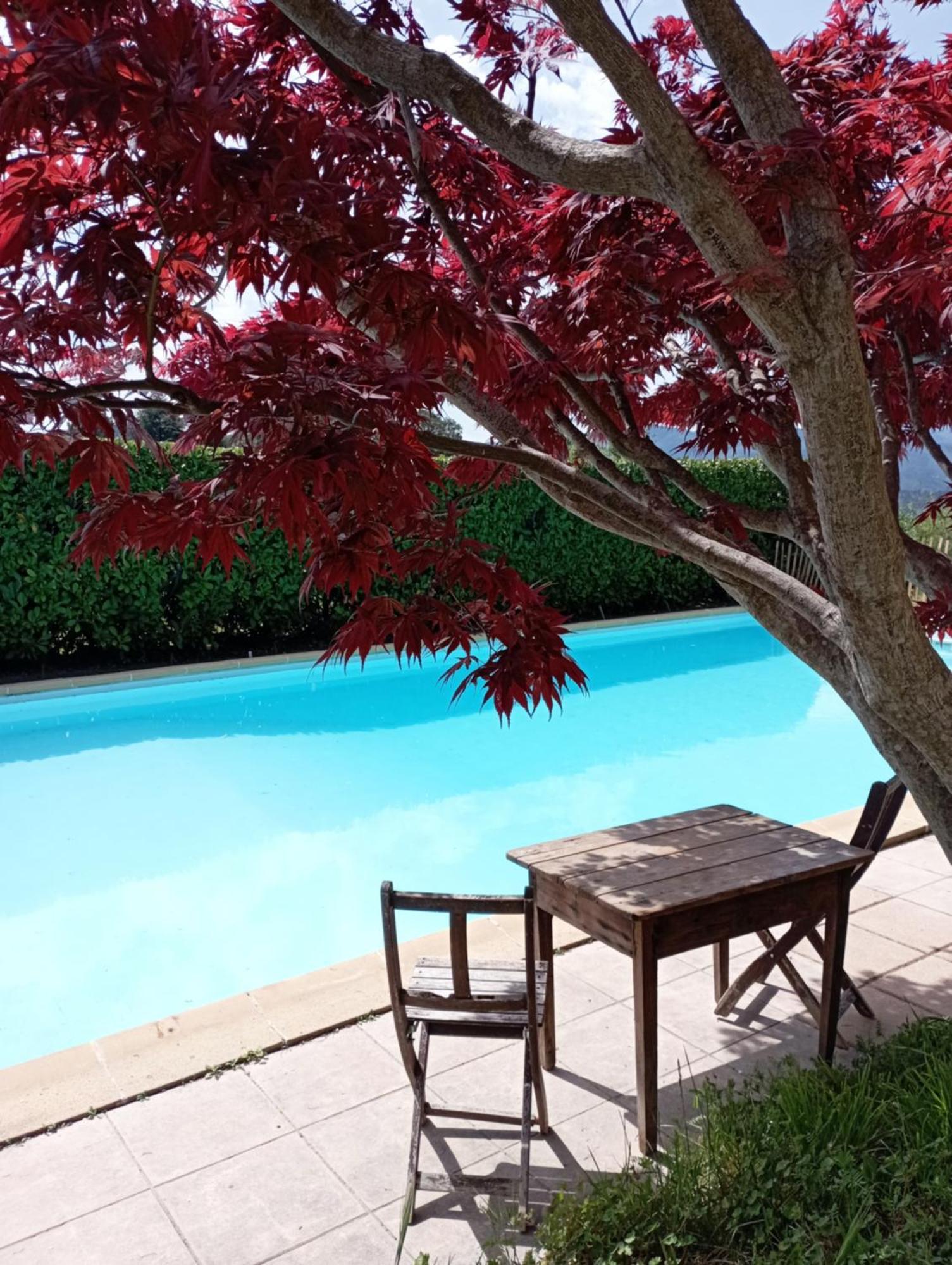 Chambre D'Hote Dans Mas Proche Anduze Cevennes Avec Piscine Mialet  Εξωτερικό φωτογραφία